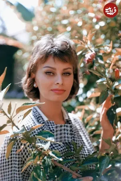 58