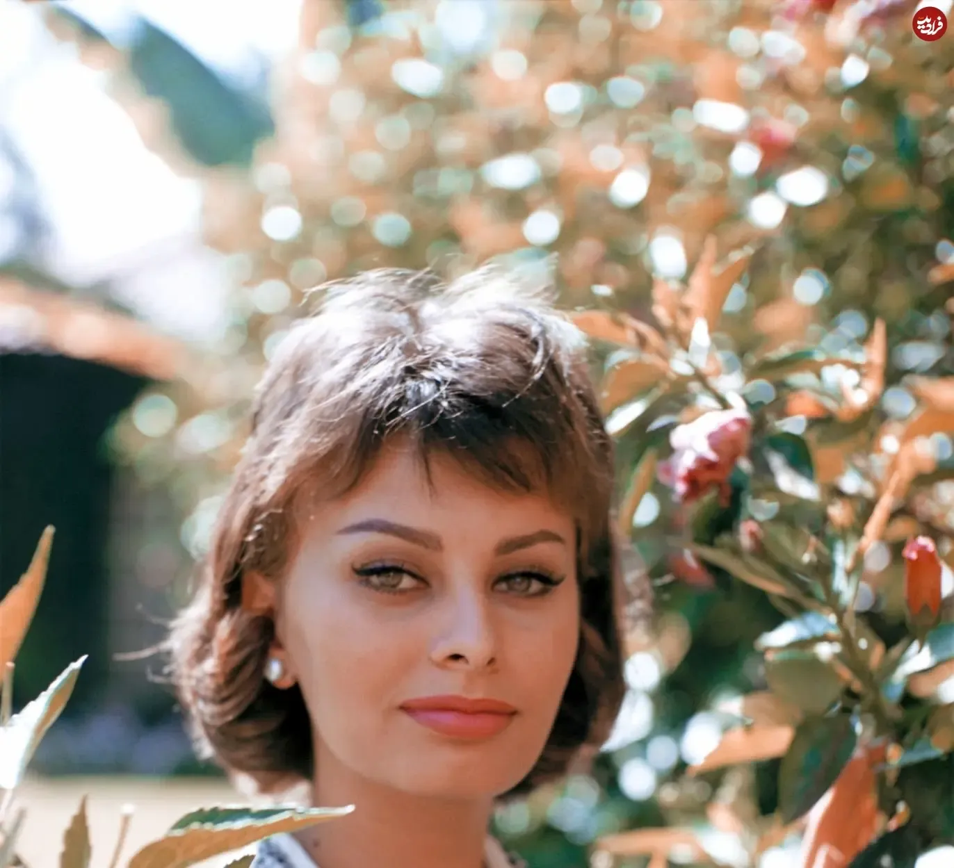 57