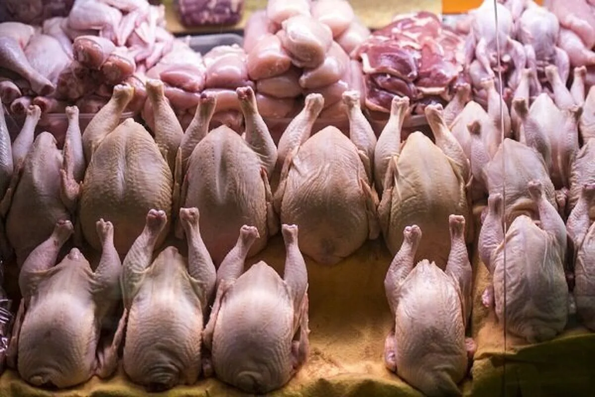 قیمت جدید گوشت مرغ قیمت جدید گوشت مرغ