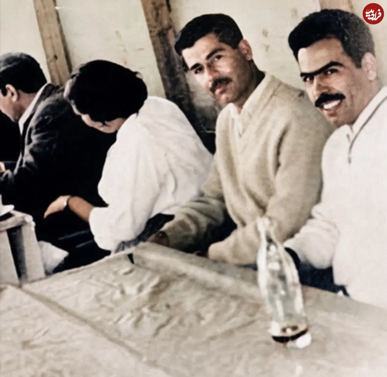 photo_sadam_1780780048_3913788405875014763_6992959840